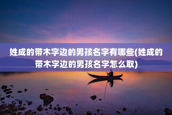 姓成的带木字边的男孩名字有哪些(姓成的带木字边的男孩名字怎么取)