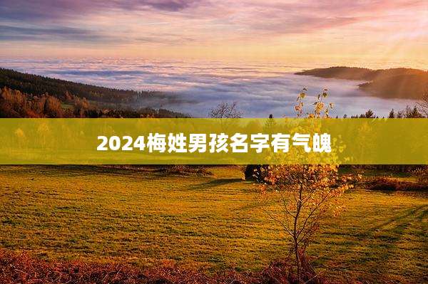 2024梅姓男孩名字有气魄