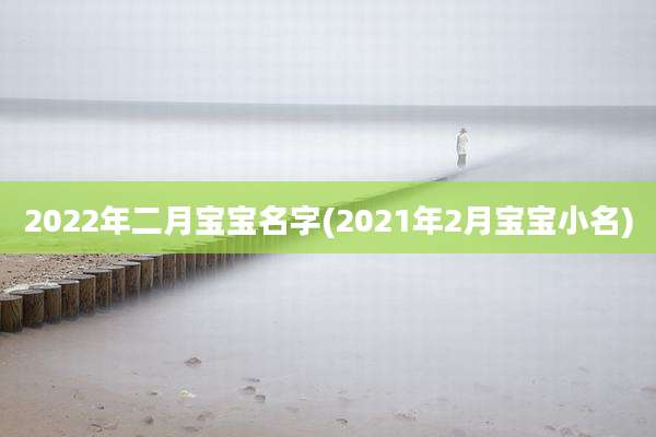 2022年二月宝宝名字(2021年2月宝宝小名)