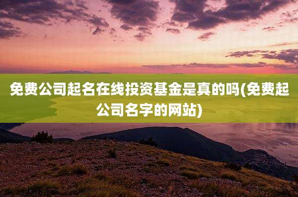 免费公司起名在线投资基金是真的吗(免费起公司名字的网站)