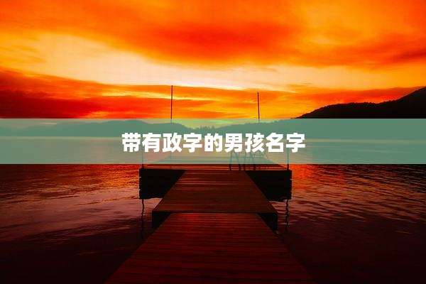 带有政字的男孩名字