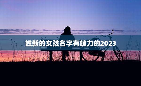 姓新的女孩名字有魄力的2023