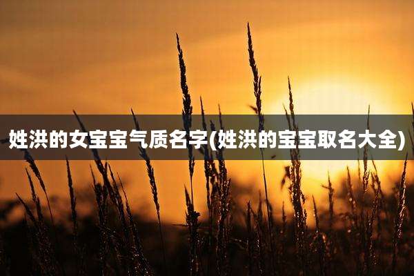 姓洪的女宝宝气质名字(姓洪的宝宝取名大全)
