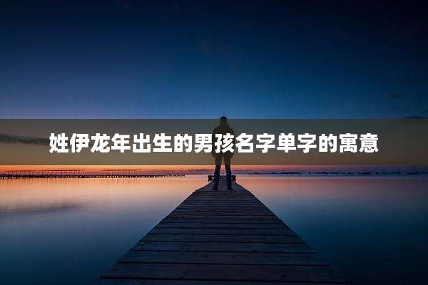 姓伊龙年出生的男孩名字单字的寓意
