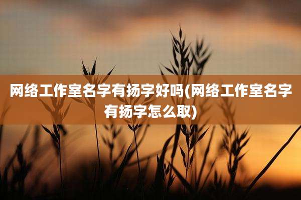 网络工作室名字有扬字好吗(网络工作室名字有扬字怎么取)