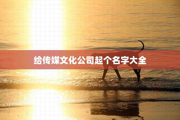 给传媒文化公司起个名字大全