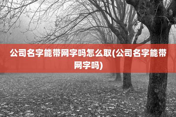 公司名字能带网字吗怎么取(公司名字能带网字吗)