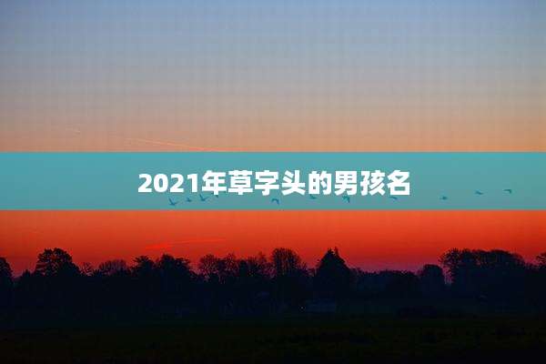 2021年草字头的男孩名