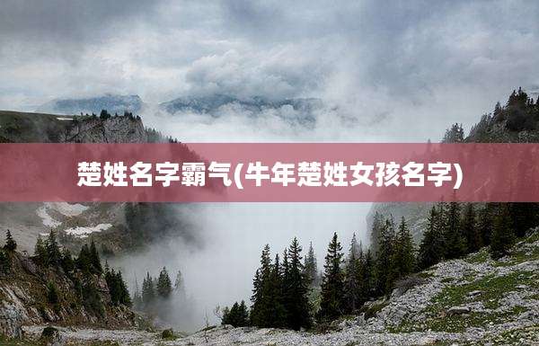 楚姓名字霸气(牛年楚姓女孩名字)