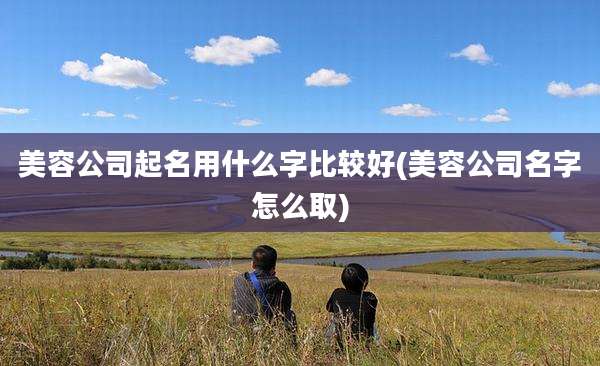 美容公司起名用什么字比较好(美容公司名字怎么取)