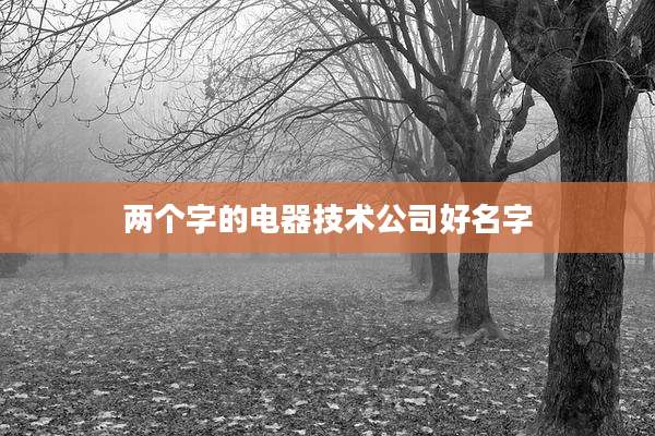 两个字的电器技术公司好名字