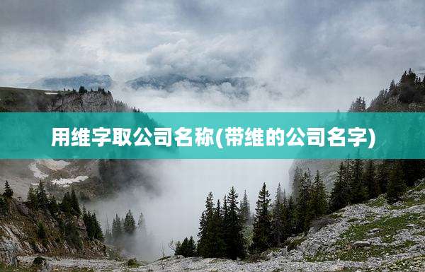 用维字取公司名称(带维的公司名字)
