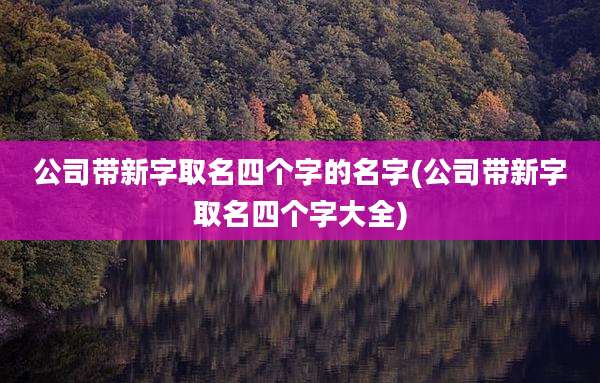公司带新字取名四个字的名字(公司带新字取名四个字大全)