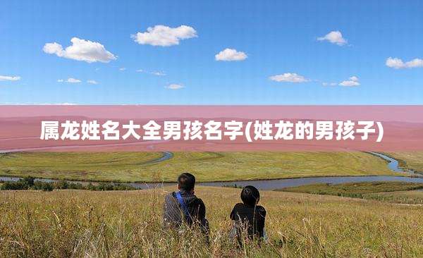 属龙姓名大全男孩名字(姓龙的男孩子)