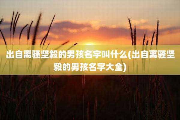 出自离骚坚毅的男孩名字叫什么(出自离骚坚毅的男孩名字大全)