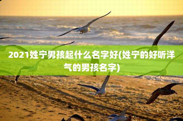2021姓宁男孩起什么名字好(姓宁的好听洋气的男孩名字)