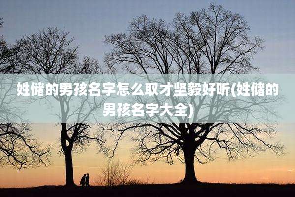 姓储的男孩名字怎么取才坚毅好听(姓储的男孩名字大全)