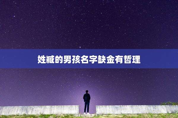 姓臧的男孩名字缺金有哲理