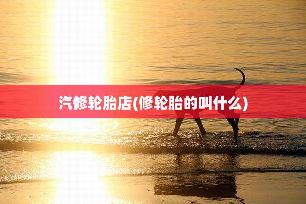 汽修轮胎店(修轮胎的叫什么)
