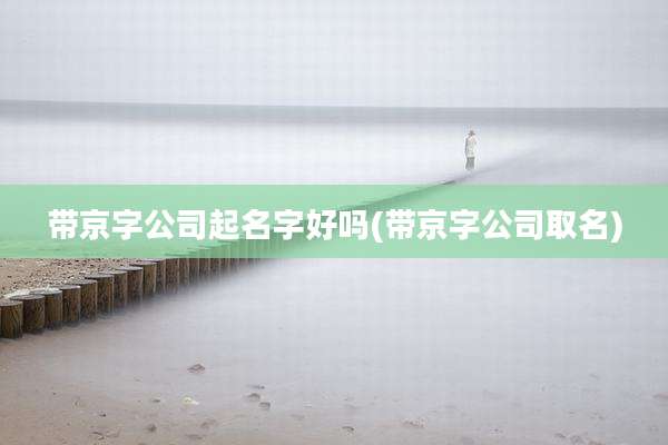 带京字公司起名字好吗(带京字公司取名)