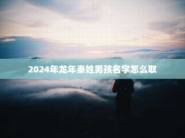 2024年龙年秦姓男孩名字怎么取