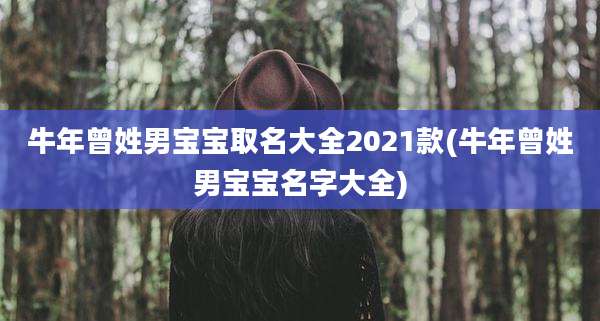 牛年曾姓男宝宝取名大全2021款(牛年曾姓男宝宝名字大全)
