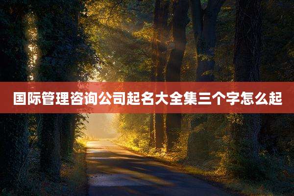 国际管理咨询公司起名大全集三个字怎么起