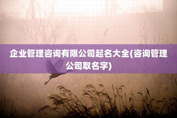 企业管理咨询有限公司起名大全(咨询管理公司取名字)