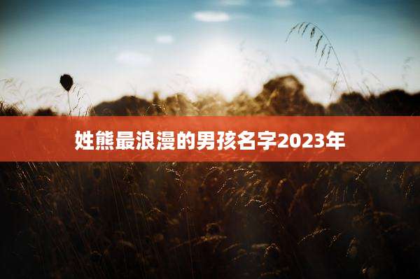 姓熊最浪漫的男孩名字2023年