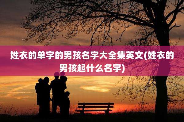 姓衣的单字的男孩名字大全集英文(姓衣的男孩起什么名字)