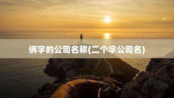 俩字的公司名称(二个字公司名)