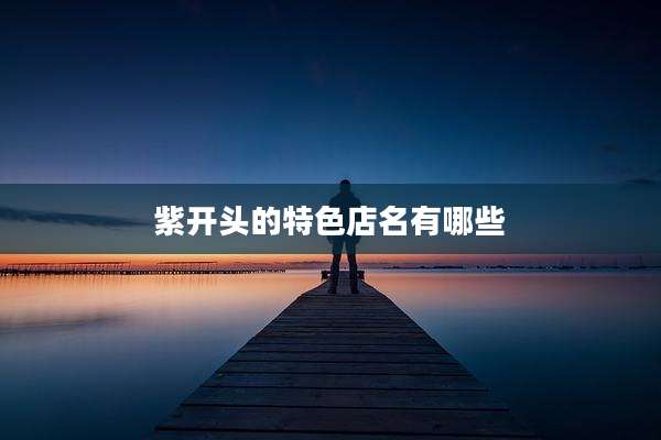 紫开头的特色店名有哪些