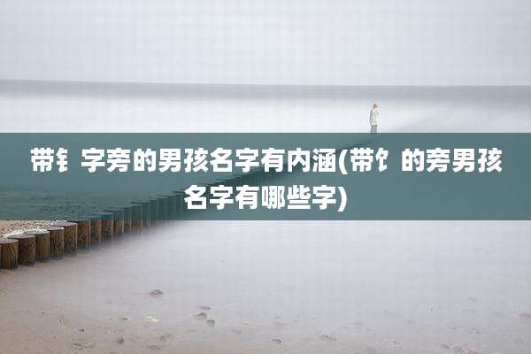 带钅字旁的男孩名字有内涵(带饣的旁男孩名字有哪些字)