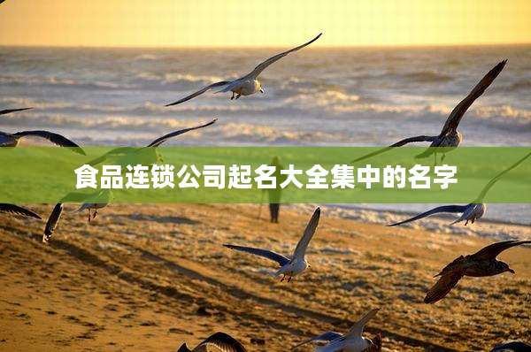 食品连锁公司起名大全集中的名字