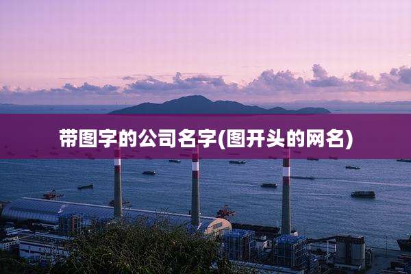 带图字的公司名字(图开头的网名)