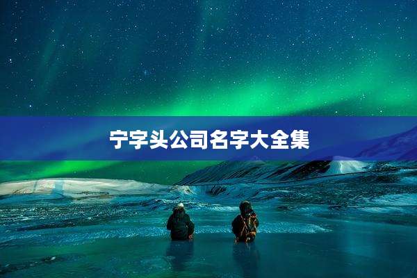 宁字头公司名字大全集