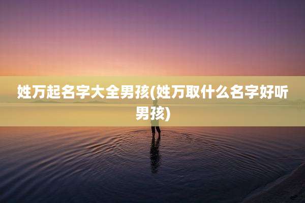姓万起名字大全男孩(姓万取什么名字好听男孩)