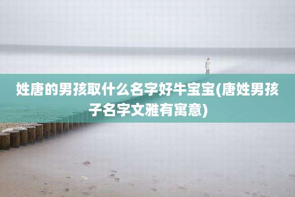 姓唐的男孩取什么名字好牛宝宝(唐姓男孩子名字文雅有寓意)