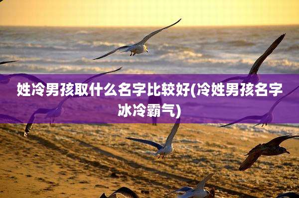 姓冷男孩取什么名字比较好(冷姓男孩名字冰冷霸气)