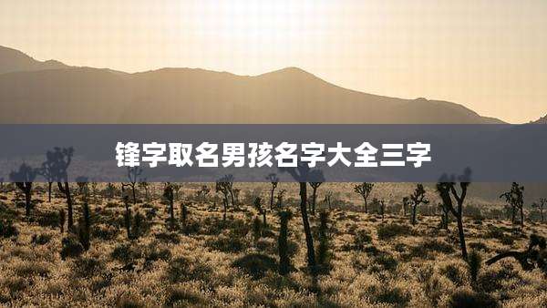 锋字取名男孩名字大全三字