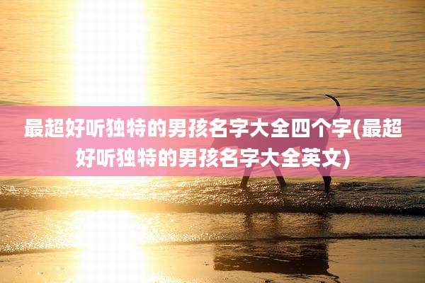 最超好听独特的男孩名字大全四个字(最超好听独特的男孩名字大全英文)