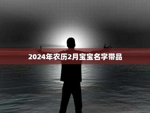 2024年农历2月宝宝名字带品