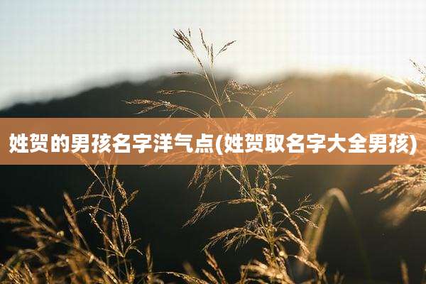 姓贺的男孩名字洋气点(姓贺取名字大全男孩)