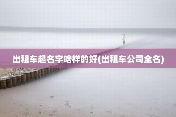 出租车起名字啥样的好(出租车公司全名)