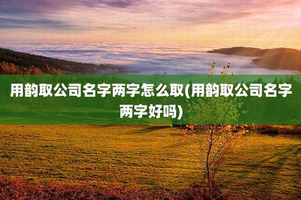 用韵取公司名字两字怎么取(用韵取公司名字两字好吗)