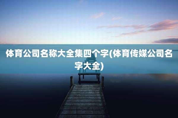 体育公司名称大全集四个字(体育传媒公司名字大全)