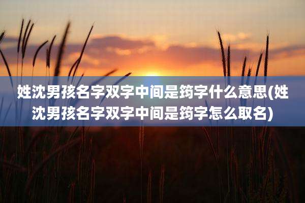姓沈男孩名字双字中间是筠字什么意思(姓沈男孩名字双字中间是筠字怎么取名)