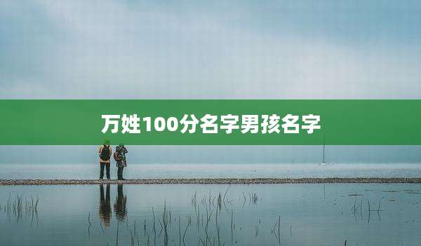 万姓100分名字男孩名字