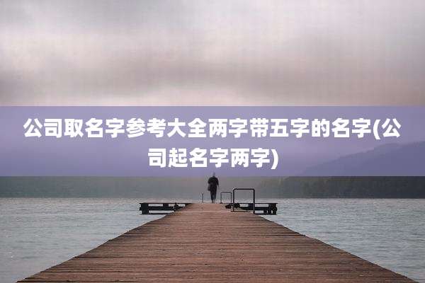公司取名字参考大全两字带五字的名字(公司起名字两字)