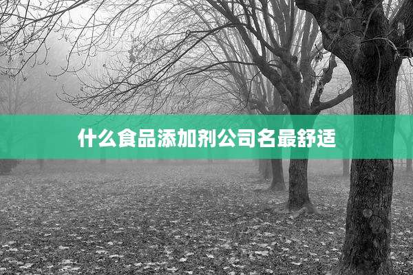 什么食品添加剂公司名最舒适